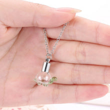 Wish Turtle